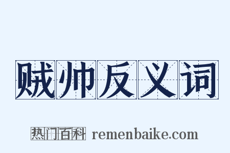 贼帅反义词是什么意思的图片